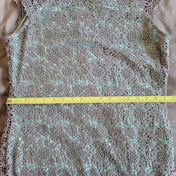 Shimmering Lace Dress - Picture 12 of 13